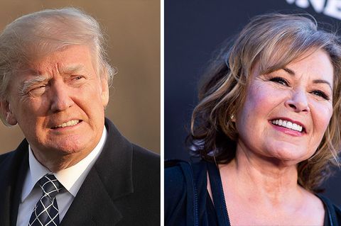 Donald Trump Roseanne
