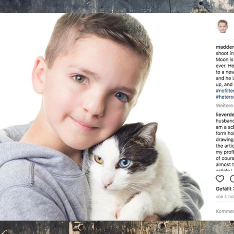 Ein Junge aus den USA hält einen Kater im Arm