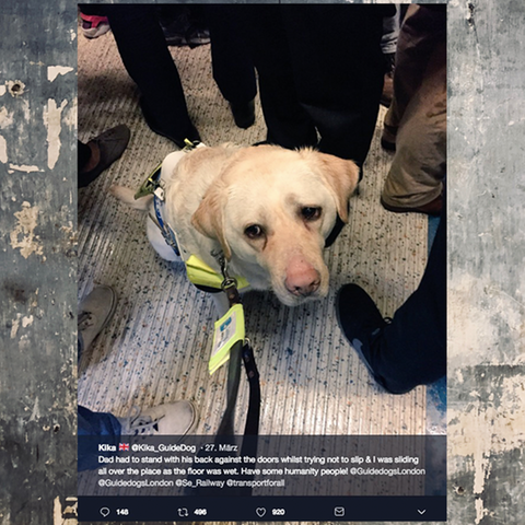 Ein Blindenhund sitzt sichtlich beängstigt in einer Londoner Bahn
