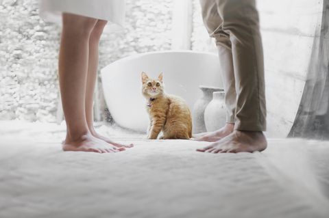 Paare sollten sich über einige Dinge klar werden, bevor sie heiraten