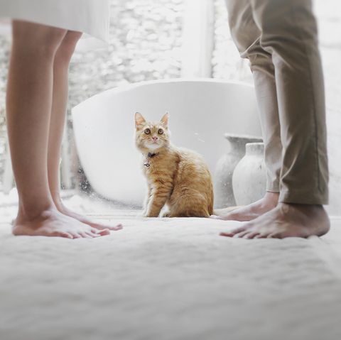 Paare sollten sich über einige Dinge klar werden, bevor sie heiraten