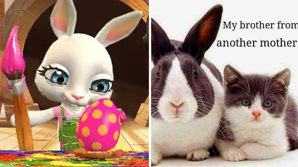 Hase, Katze, Kettenbrief: Das sind die schlimmsten Ostergrüße per Whatsapp - sind Ihre auch dabei? Hase, Katze, Kettenbrief: Das sind die schlimmsten Ostergrüße per Whatsapp - sind Ihre auch dabei?