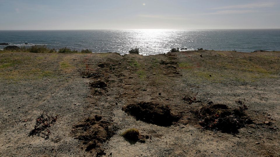 Fahrzeugspuren führen in Richtung einer Klippe am Pacific Highway Fahrzeugspuren führen in Richtung einer Klippe am Pacific Highway