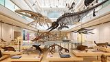 Ausgezeichnete Museen  Der berühmte Architekt Renzo Piano hat 2013 in Trient das Wissenschaftsmuseum MUSE geschaffen: ein Haus  mit 19.000 Quadratmetern Fläche zum Entdecken und Lernen, insbesondere über die alpine Natur. Doch im Trentino locken noch weitere Museen wie das Luftfahrtmuseum Gianni Caproni oder das Museum für Moderne Kunst MART in Rovereto sowie weitere historische Burgen und Schlösser.