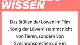 NEON Unnützes Wissen: 27 erstaunliche Dinge, die ihr bestimmt noch nicht über Müll wusstet