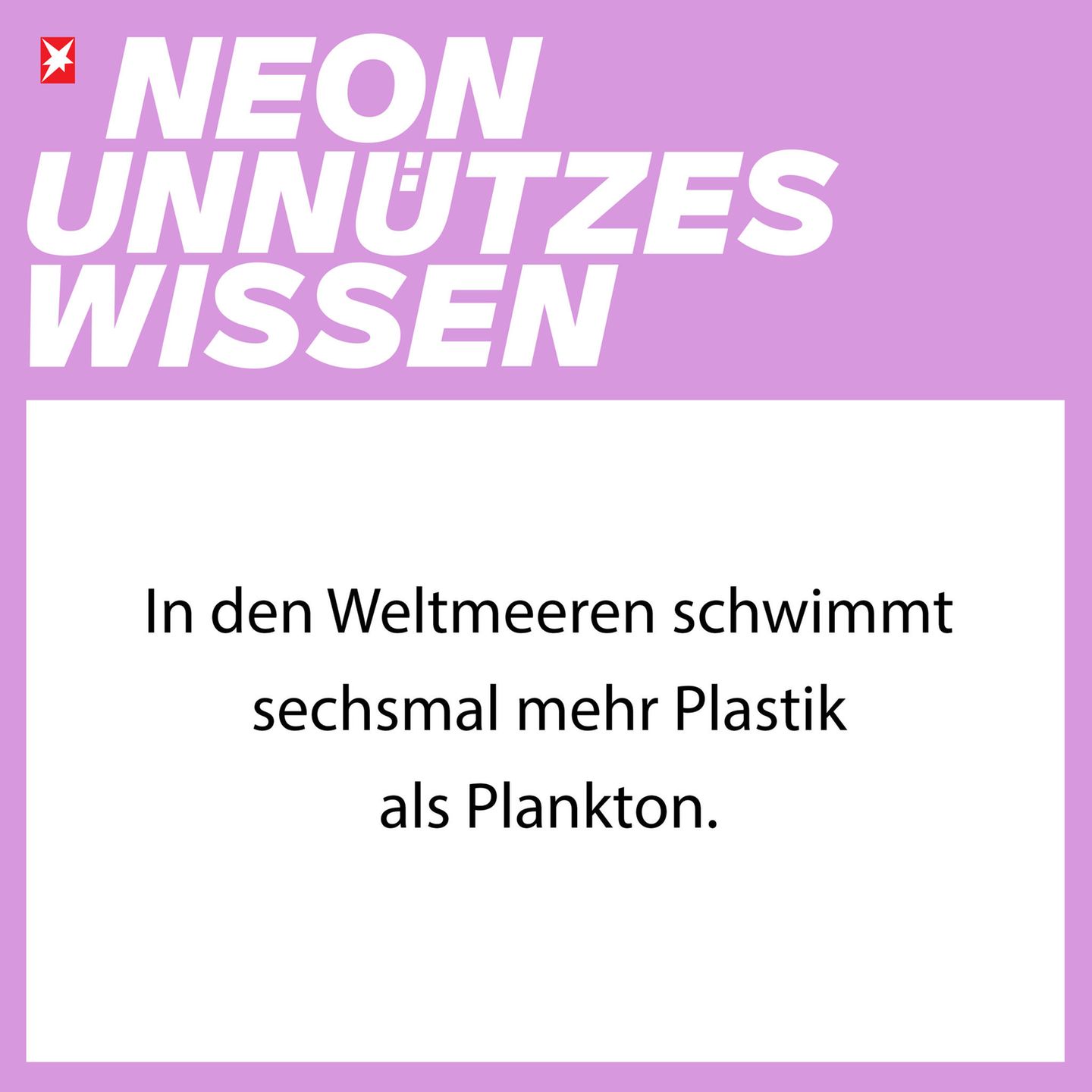 NEON Unnützes Wissen: 27 erstaunliche Dinge, die ihr bestimmt noch nicht über Müll wusstet
