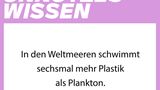 NEON Unnützes Wissen: 27 erstaunliche Dinge, die ihr bestimmt noch nicht über Müll wusstet