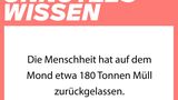 NEON Unnützes Wissen: 27 erstaunliche Dinge, die ihr bestimmt noch nicht über Müll wusstet