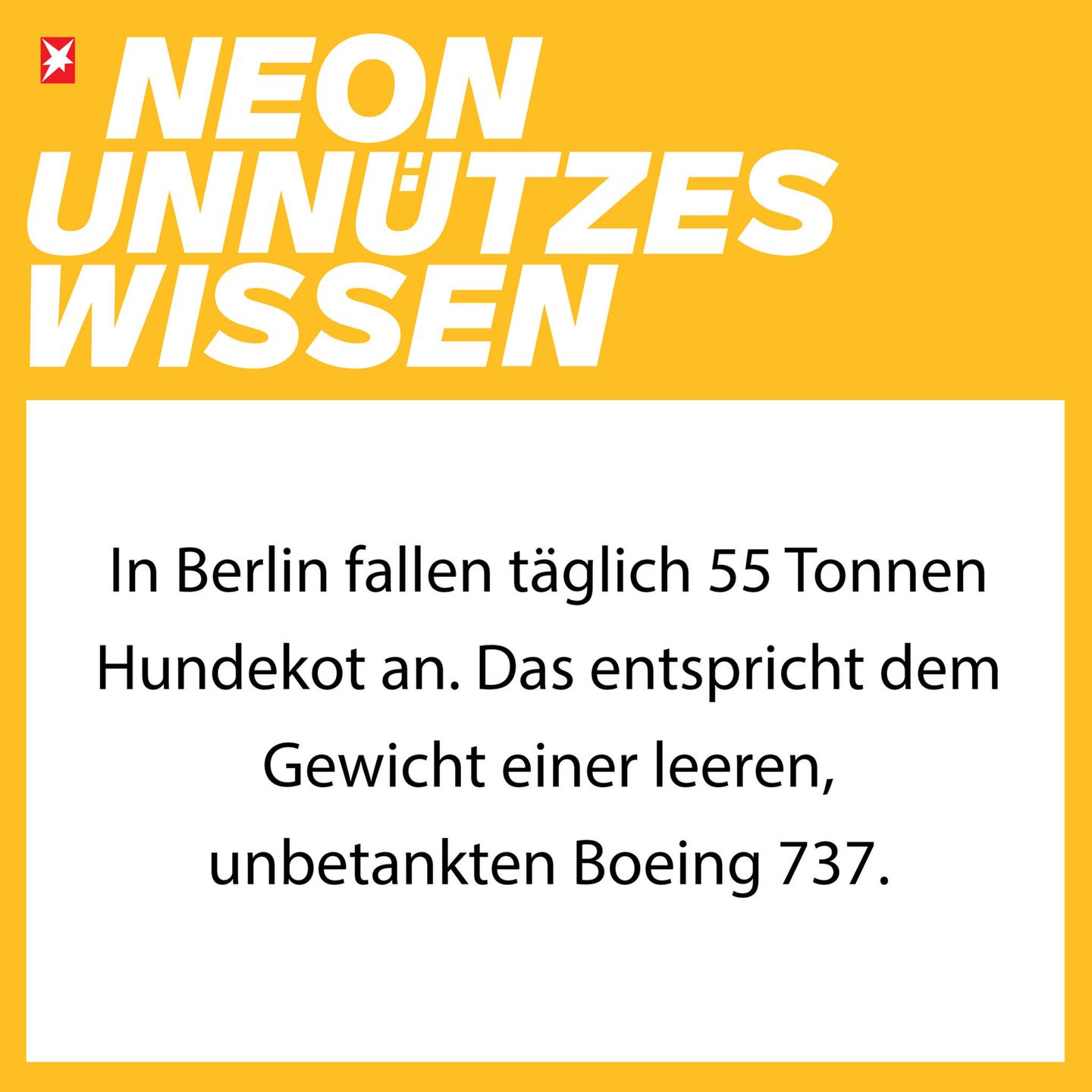 NEON Unnützes Wissen: 27 erstaunliche Dinge, die ihr bestimmt noch nicht über Müll wusstet