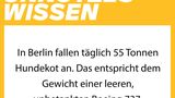 NEON Unnützes Wissen: 27 erstaunliche Dinge, die ihr bestimmt noch nicht über Müll wusstet