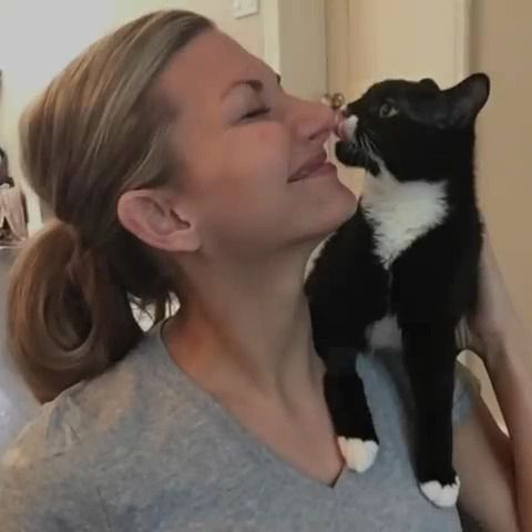 Shelly Roche von Tinykittens mit ihrem Schützling, dem Kater Cassidy.