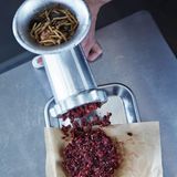 Durch den Fleischwolf gedreht: Mehlwürmer sind eine sehr gute Quelle für Eiweiß.