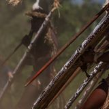 Ein Schildertanz beim SingSing in Kokopo: Die Tanzfeste sollen das Land befrieden, denn früher gab es häufig Stammeskriege aufgrund der schwierigen Verständigung. In Papua Neuguinea werden über 800 verschiedene Sprachen von ebenso vielen Völkern gesprochen.