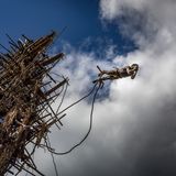 Einmal jährlich findet das Turmspringen auf der Insel Pentecost statt. Die Lianen müssen einen bestimmten Reifegrad haben, damit sie genügend Schwung abfangen. Jeder initiierte Springer sucht sich seine Liane selbst aus, bevor er sich von einem bis zu 30 eher hohen Turm stürzt.