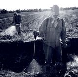 Landarbeiter besprühen in der Provinz Córdoba ein Feld nach der Ernte – ohne die vorgeschriebenen Schutzanzüge