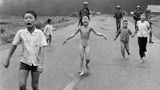 1972: Der Schrecken des Krieges
