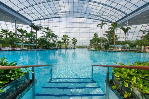 Über einem großen Schwimmbecken spannt sich ein Glasdach. Am Beckenrand stehen echte Palmen