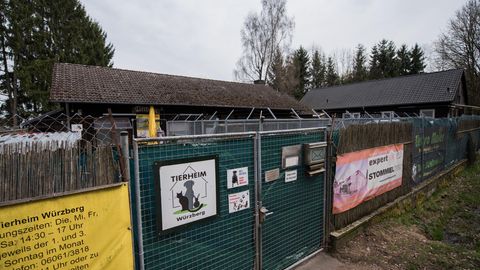 Hinter einem mit Planen verhängten mannshohen Metalltor sind die Dächer zweier Gebäude zu sehen, die im rechten Winkel stehen