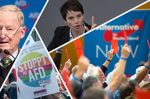 AfD-Chronologie: Fünf Jahre AfD - eine Erfolgsgeschichte?