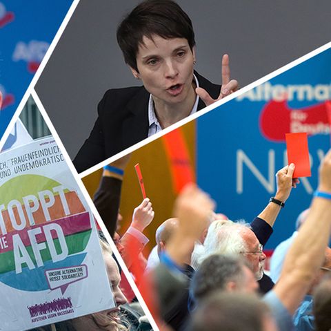 AfD-Chronologie: Fünf Jahre AfD - eine Erfolgsgeschichte?