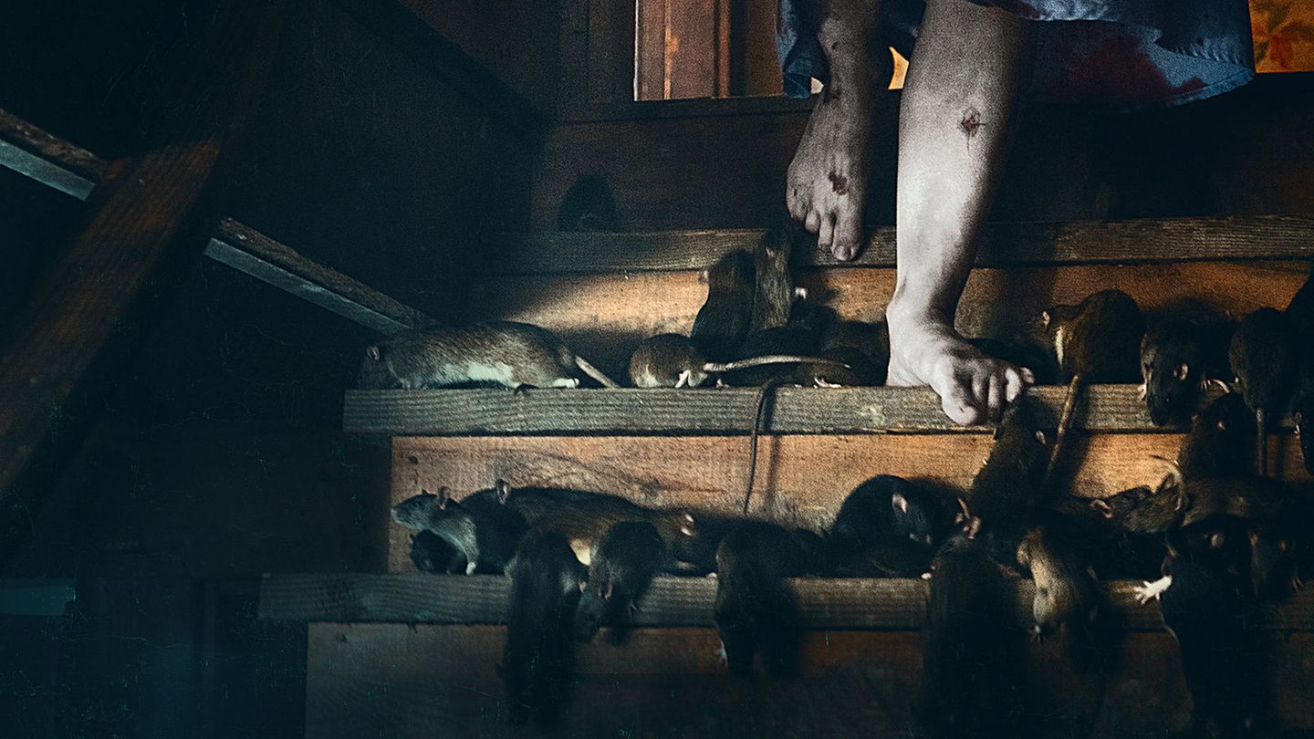 "1922" auf Netflix