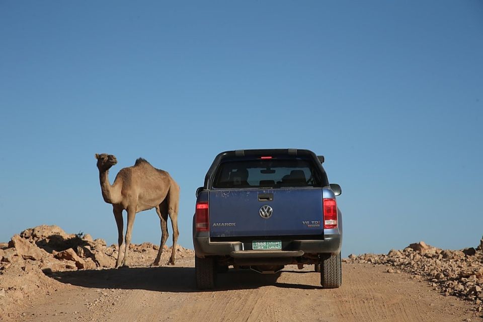 Verkehrsmittel unter sich bei der VW Amarok Adventure Tour 2018 Verkehrsmittel unter sich bei der VW Amarok Adventure Tour 2018