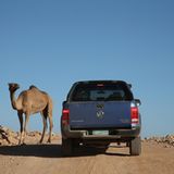 Verkehrsmittel unter sich bei der VW Amarok Adventure Tour 2018