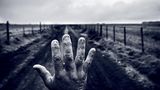 Argentinien: Besuch in einem vergifteten Land