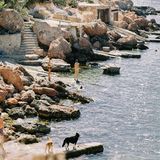 Dennis Swiatkowski: Chasing Dreams