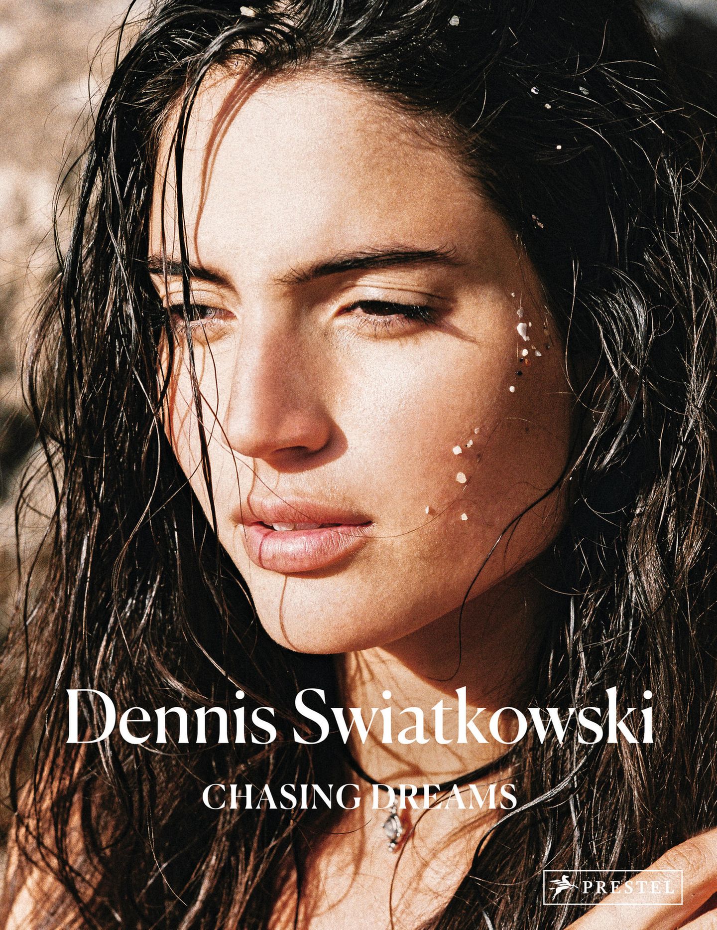 Buchcover Dennis Swiatkowski: Chasing Dreams