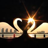 Sonnenaufgang über dem Kirschblüten-See. 