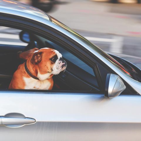 Roadtrip