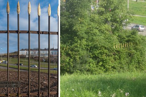 Natur-Kunstwerk Sanctuarium in Stuttgart irrtümlich abrasiert