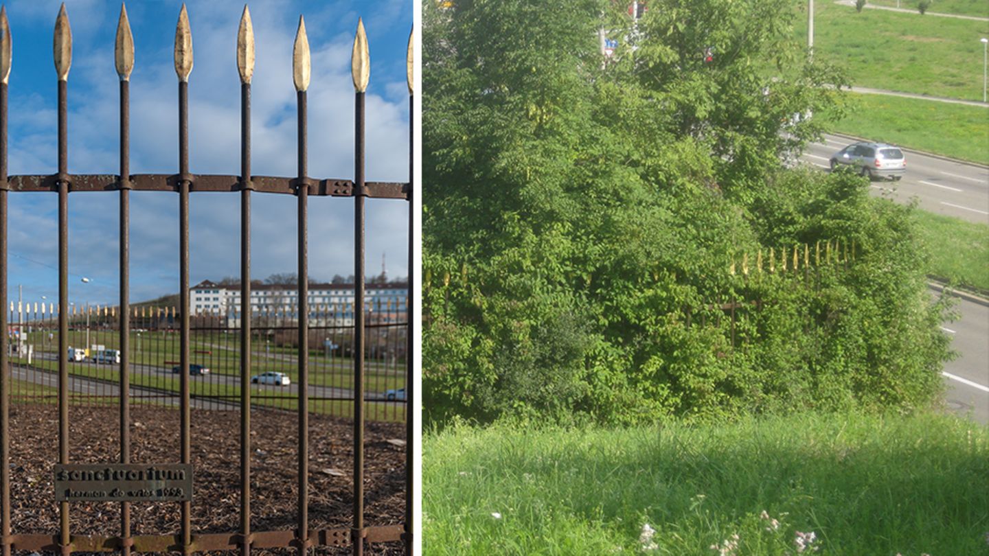 Natur-Kunstwerk Sanctuarium in Stuttgart irrtümlich abrasiert