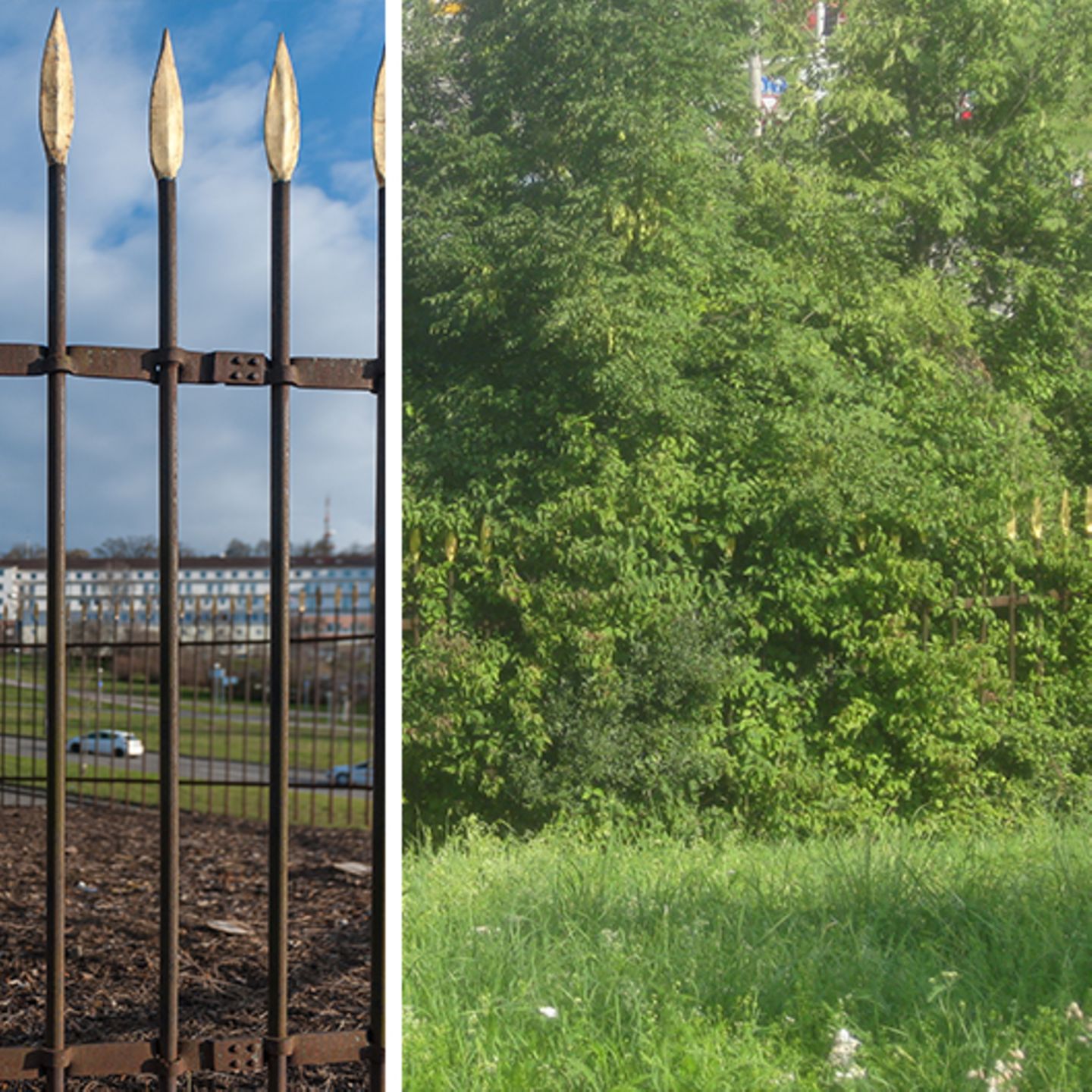 Stuttgart: Natur-Kunstwerk Sanctuarium vom Gartenamt abrasiert | STERN.de