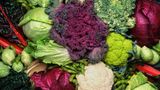 Gemüse: Kohl  Gemüse aus Bioproduktion ist laut Monitoring tatsächlich weniger belastet als konventionelle Ware. Einheimische Produkte werden seltener beanstandet als ausländische, vor allem außereuropäische. Wer also auf Nummer sicher gehen möchte, kauft regionale Bioware.  Das setzt voraus, dass Sie – soweit wie möglich – Gemüse der Saison bevorzugen. Denn zum optimalen Reifezeitpunkt ist auch der Gehalt an wertvollen Substanzen am höchsten.