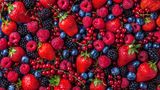 Obst: Beeren  Auch in Früchten ist das Beste in der Schale enthalten.  So sind in der Apfelschale 140 mg/kg Quercetin enthalten, im Inneren nur 2 mg – und im Apfelsaft gar nichts mehr. Smoothies sind unter diesem Aspekt sinnvoller als Säfte, etwa die Smoothie-Bowl.  Früchte, wenn möglich, mit Schale genießen und vorher waschen und gründlich polieren. Den höchsten Gehalt an wertvollen Substanzen haben Beeren. Etwas kritischer sind sehr zuckerreiche Früchte: Bananen, Weintrauben, Feigen, Litschis, Datteln oder Kakis sind mit Vorsicht zu genießen, und Trockenobst ist eher ein Süßungsmittel. Mehr als zwei Portionen Obst pro Tag sollten es auch nicht sein. Eine Portion entspricht dabei einer Handvoll bzw. einem Stück.