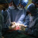 Nach einigen Monaten fand sich ein junger Spender. Jérôme Hamon wurde mehrere Stunden im Hospital "Europeen Georges-Pompidou" in Paris operiert. 