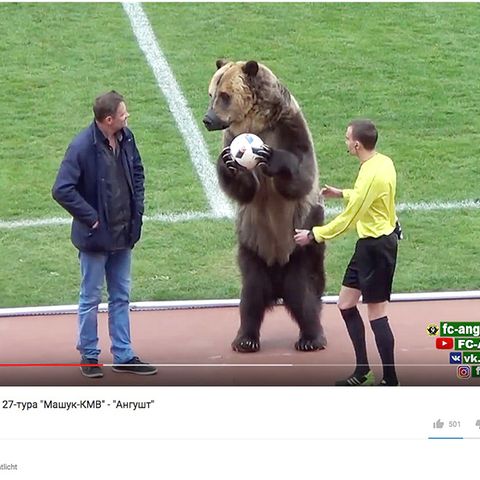 Bär mit Ball in der Hand zwischen Tiertrainer und Schiedsrichter