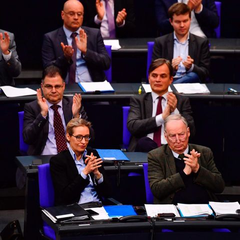 Was will die AfD? Das hat die Rechtspartei (bisher) in Angriff genommen - und das nicht