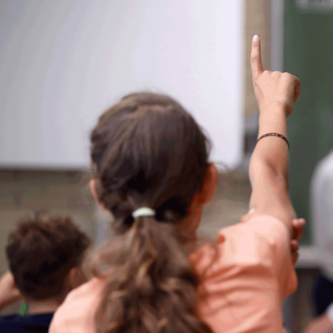 Eine Schülerin meldet sich im Klassenzimmer