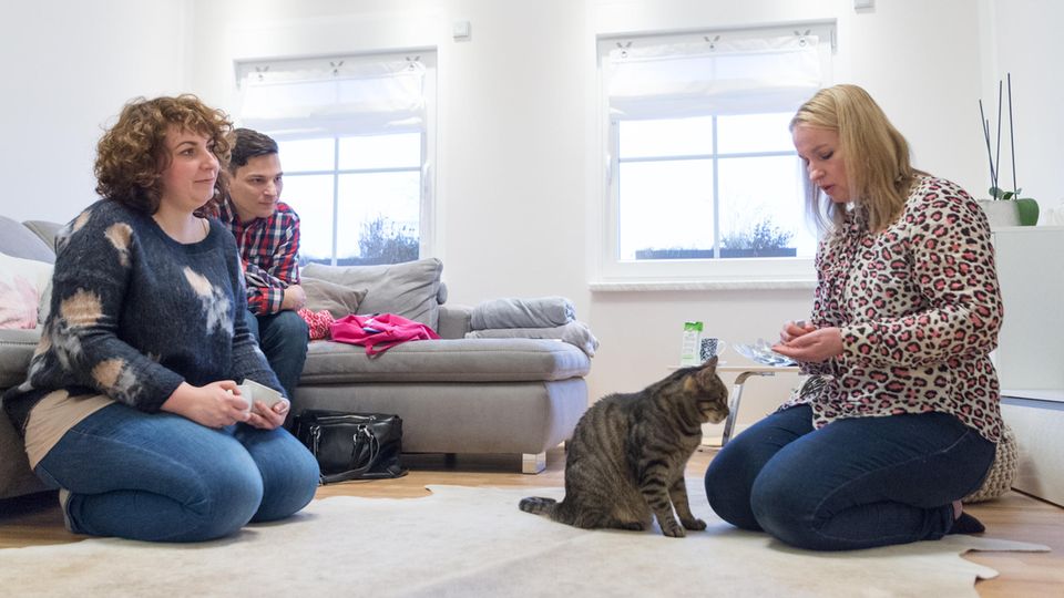 Kathentherapeutin Die Katzenhalter lassen sich von der Therapeutin eine Übung mit Kater Louis erklären.