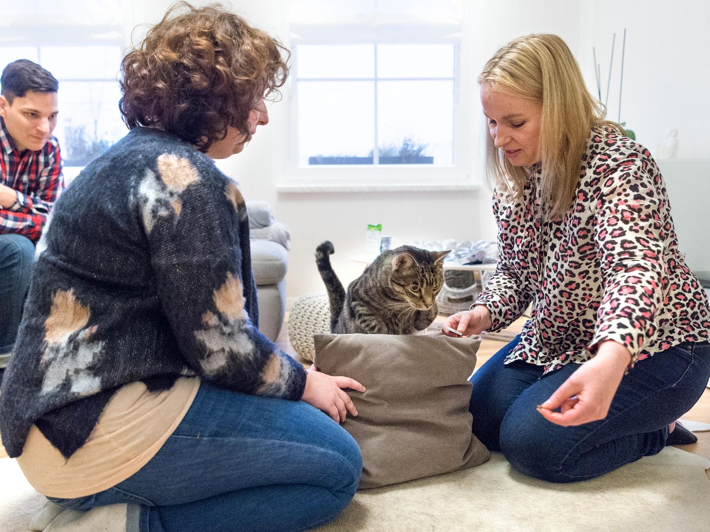 Haustiere beim Therapeuten: Besuch bei einer Katzentherapeutin | STERN.de