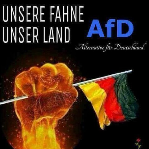 AfD: Der stern folgte einer Whatsapp-Gruppe der rechten Partei
