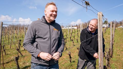 Wein