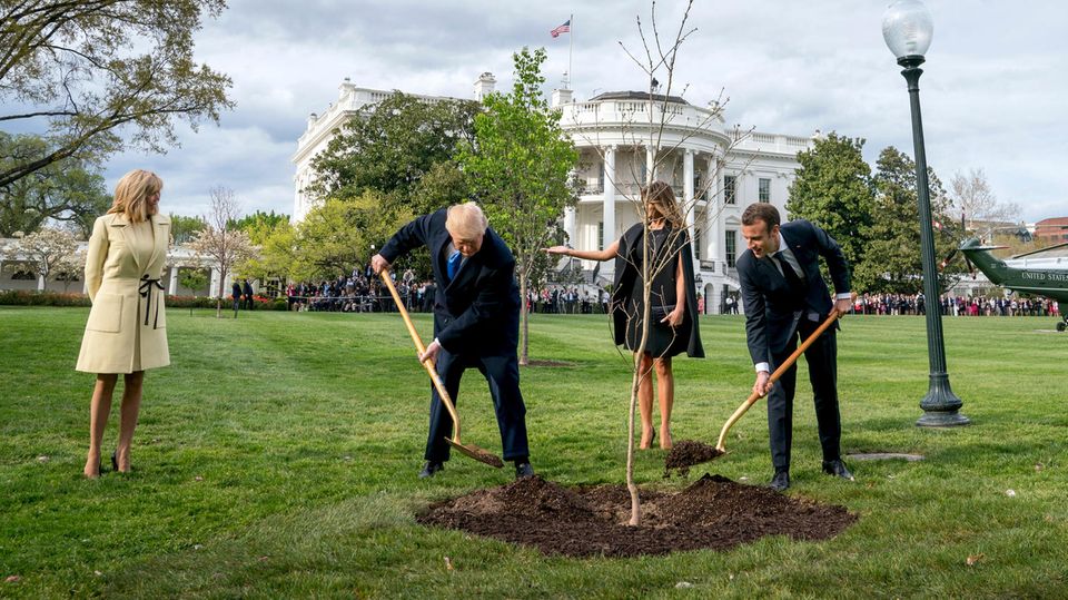 Donald Trump und Emmanuel Macron Donald Trump und Emmanuel Macron pflanzen eine Eiche