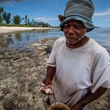 "Ich bat diesen Fischer mir seinen Fang zu zeigen und war erstaunt, dass es sich einfach nur um einen kleinen Tintenfisch handelte. Nach einigen Schwierigkeiten meinte ich aber verstanden zu haben, dass er mir sagen wollte, dass dieser kleine Tintenfisch nur als Köder benutzt würde."