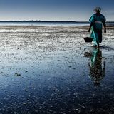 "Die Schneckensammlerin. Immer wieder erstaunt war ich, wie wunderschön die Frauen gekleidet waren.Während die Männer teils in wirklich zerlumpter Kleidung herumliefen, waren die Frauen eigentlich durchweg sauber, farbenfroh bis wirklich schick gekleidet. Und es war egal bei welcher Arbeit ich sie gesehen habe."