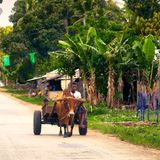 "Die Langsamkeit wurde auf Zanzibar erfunden." 