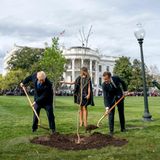 Donald Trump Emmanuel Macron Baum pflanzen